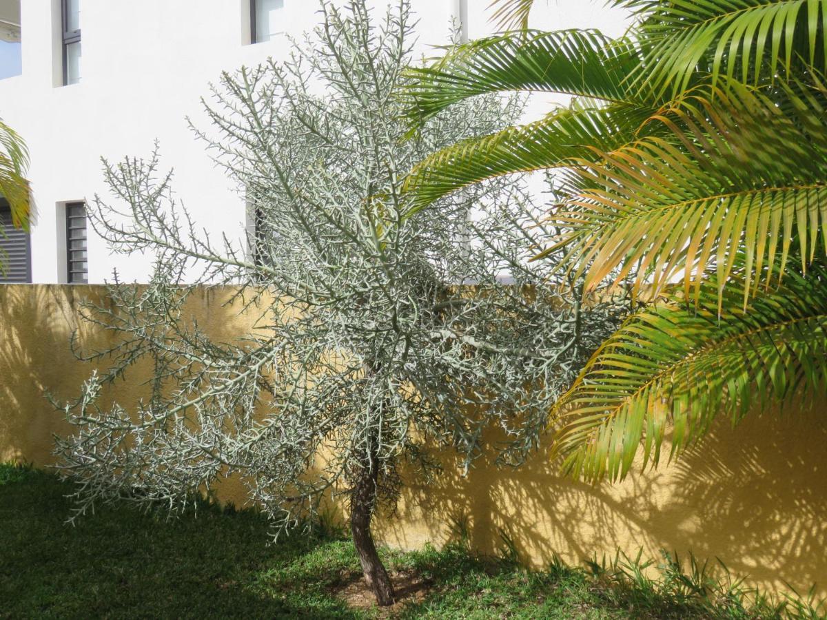 Villa Canelle Trou-aux-Biches Extérieur photo